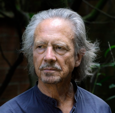 关于彼得·汉德克的名人名言哲理格言警句语录 - 每日文摘