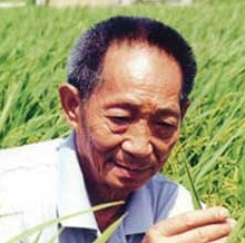 袁隆平名人名言哲理格言警句语录