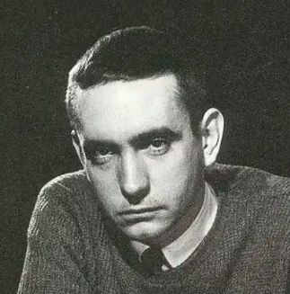 关于爱德华·阿尔比的名人名言哲理格言警句语录 - 每日文摘