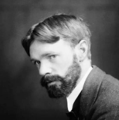 关于D.H.劳伦斯的名人名言哲理格言警句语录 - 每日文摘