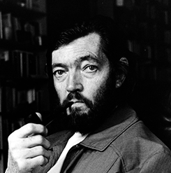 关于胡利奥·科塔萨尔的名人名言哲理格言警句语录 - 每日文摘