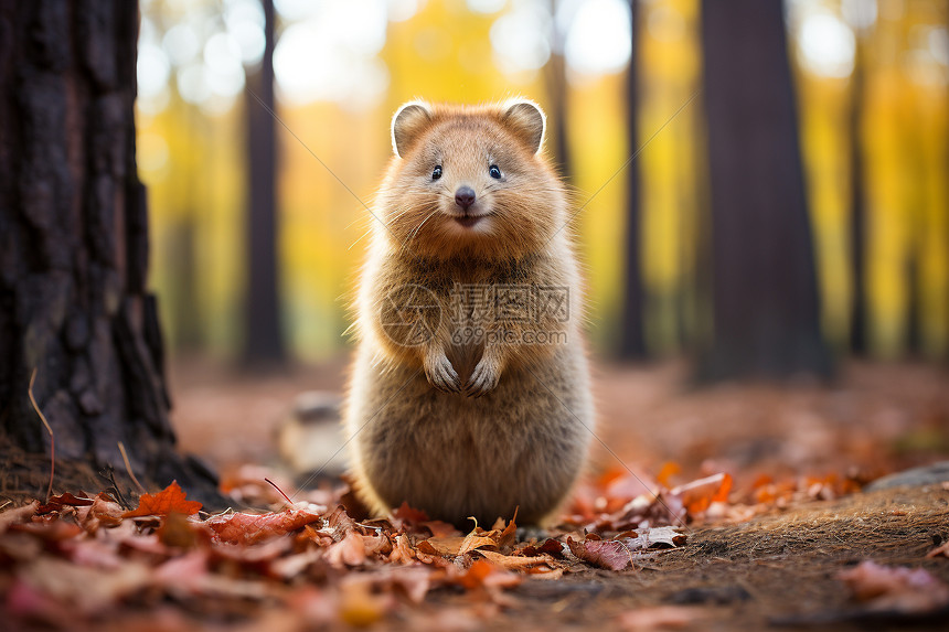 裘山山名人名言哲理格言警句语录