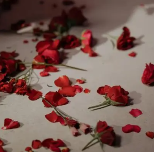 关于终结的名人名言哲理格言警句语录 - 每日文摘