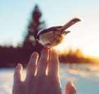 关于现实的名人名言哲理格言警句语录 - 每日文摘