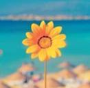 关于光明的名人名言哲理格言警句语录 - 每日文摘