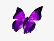 关于真实的名人名言哲理格言警句语录 - 每日文摘