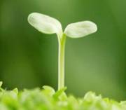 关于过程的名人名言哲理格言警句语录 - 每日文摘