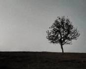 关于孤独的名人名言哲理格言警句语录 - 每日文摘