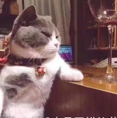 关于事情的名人名言哲理格言警句语录 - 每日文摘