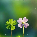 关于你们的名人名言哲理格言警句语录 - 每日文摘