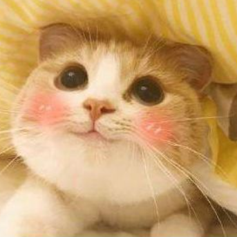 关于状态的名人名言哲理格言警句语录 - 每日文摘