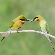关于互相的名人名言哲理格言警句语录 - 每日文摘