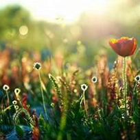 关于当时的名人名言哲理格言警句语录 - 每日文摘