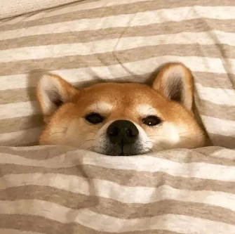 关于干啥的名人名言哲理格言警句语录 - 每日文摘