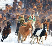 关于彪悍的名人名言哲理格言警句语录 - 每日文摘
