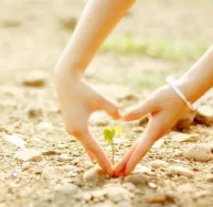 关于感动的名人名言哲理格言警句语录 - 每日文摘