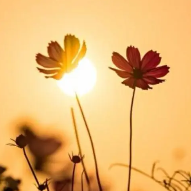 关于余生的名人名言哲理格言警句语录 - 每日文摘