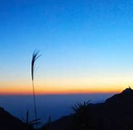 关于尊严的名人名言哲理格言警句语录 - 每日文摘