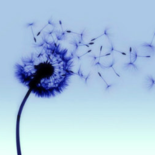 关于绝对的名人名言哲理格言警句语录 - 每日文摘