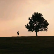 关于醒悟的名人名言哲理格言警句语录 - 每日文摘