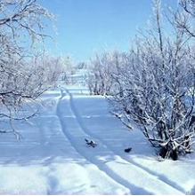 关于冬天的名人名言哲理格言警句语录 - 每日文摘