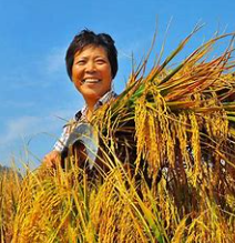 关于收获的名人名言哲理格言警句语录 - 每日文摘