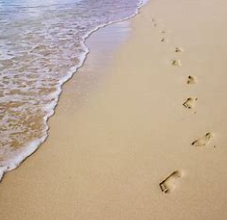 关于脚印的名人名言哲理格言警句语录 - 每日文摘