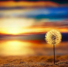 关于一切的名人名言哲理格言警句语录 - 每日文摘