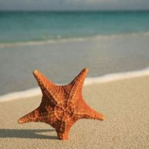 关于到底的名人名言哲理格言警句语录 - 每日文摘