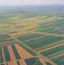 关于原地的名人名言哲理格言警句语录 - 每日文摘