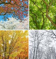 关于季节的名人名言哲理格言警句语录 - 每日文摘