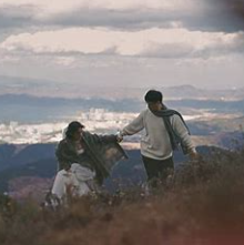 关于纯粹的名人名言哲理格言警句语录 - 每日文摘