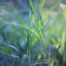 关于无穷无尽的名人名言哲理格言警句语录 - 每日文摘