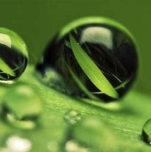 关于圆滑的名人名言哲理格言警句语录 - 每日文摘