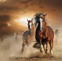 关于骏马的名人名言哲理格言警句语录 - 每日文摘