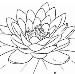 关于通常的名人名言哲理格言警句语录 - 每日文摘