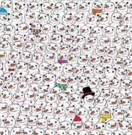 关于找出的名人名言哲理格言警句语录 - 每日文摘