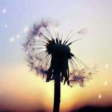 关于寄托的名人名言哲理格言警句语录 - 每日文摘