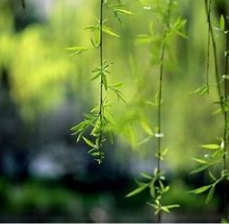 关于必然的名人名言哲理格言警句语录 - 每日文摘