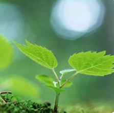 关于既然的名人名言哲理格言警句语录 - 每日文摘