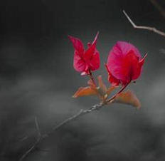 关于从今的名人名言哲理格言警句语录 - 每日文摘