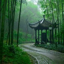 关于何妨的名人名言哲理格言警句语录 - 每日文摘