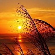 关于突然的名人名言哲理格言警句语录 - 每日文摘