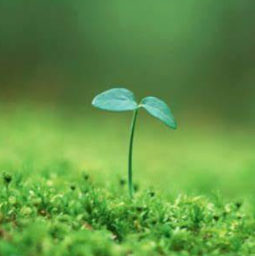 关于事物的名人名言哲理格言警句语录 - 每日文摘