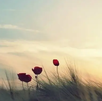 关于也好的名人名言哲理格言警句语录 - 每日文摘