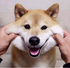 关于无须的名人名言哲理格言警句语录 - 每日文摘