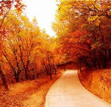 关于秋天的名人名言哲理格言警句语录 - 每日文摘