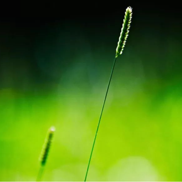 关于退后的名人名言哲理格言警句语录 - 每日文摘