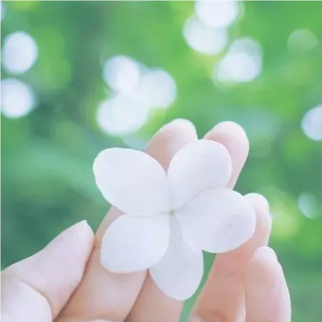 关于人心的名人名言哲理格言警句语录 - 每日文摘