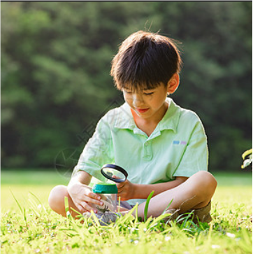 关于观察的名人名言哲理格言警句语录 - 每日文摘